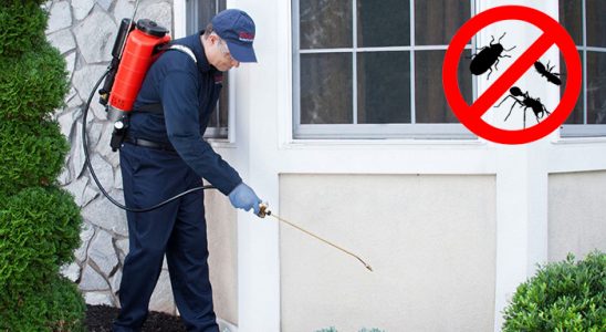Devrekani Karınca İlaçlama böcek ilaçlama ve haşere kontrolü — ilaclama-tr.com